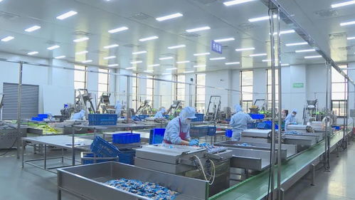 战 恩阳工业企业两月拿下12亿