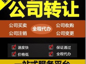 图 公司法人股东股权变更科技公司转让增资减资地址变更执照转让 天津工商注册
