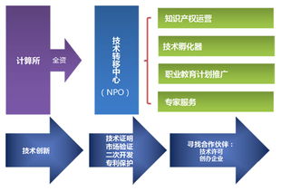 技术转让与孵化 非营利组织（NPO）的创新驱动与价值实现